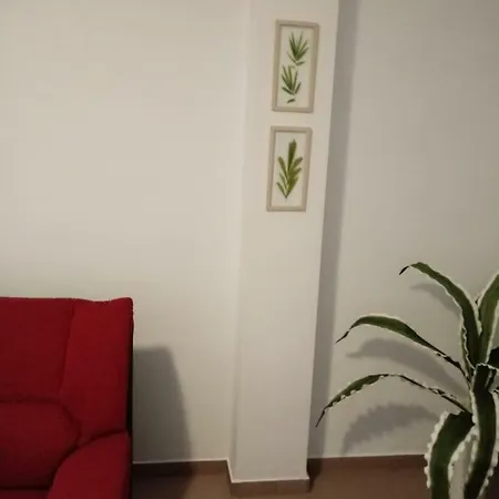 Apartamento Bediesta Santa Cruz de la Palma  Exterior photo